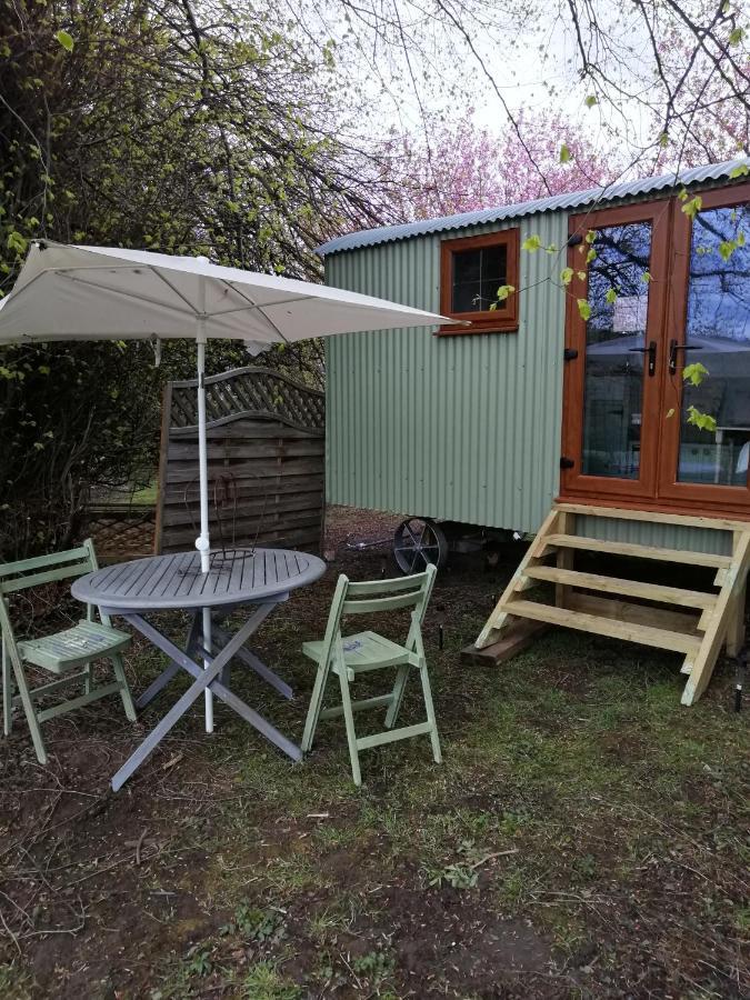 Durham Donkey Rescue Shepherd'S Hut Hotel Exterior photo