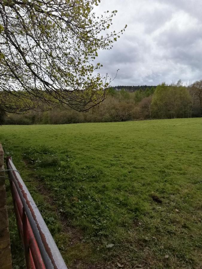 Durham Donkey Rescue Shepherd'S Hut Hotel Exterior photo