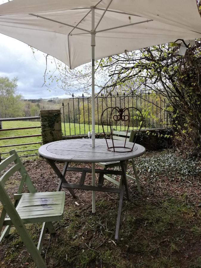 Durham Donkey Rescue Shepherd'S Hut Hotel Exterior photo