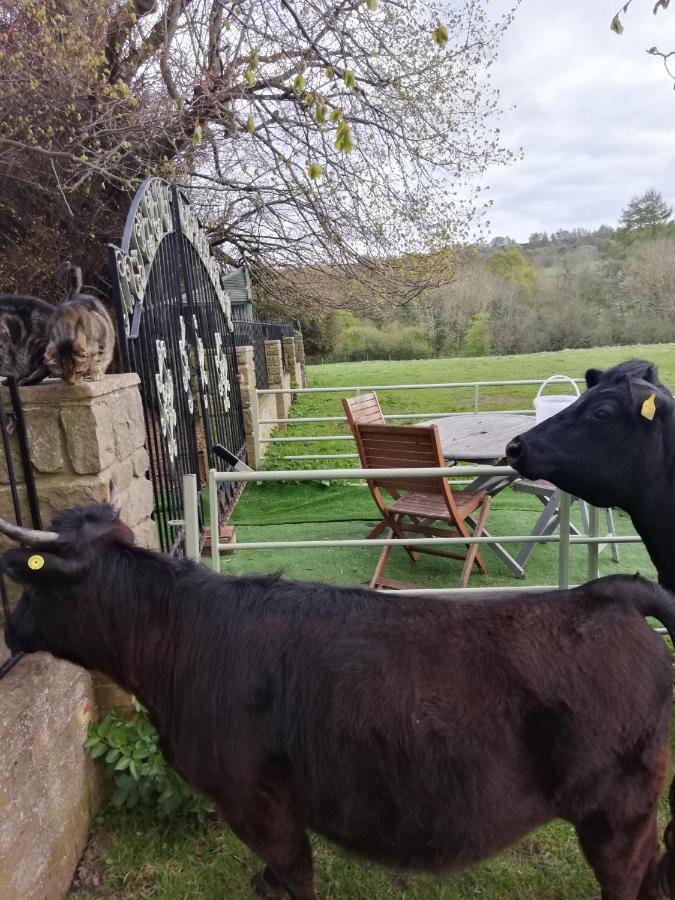 Durham Donkey Rescue Shepherd'S Hut Hotel Exterior photo